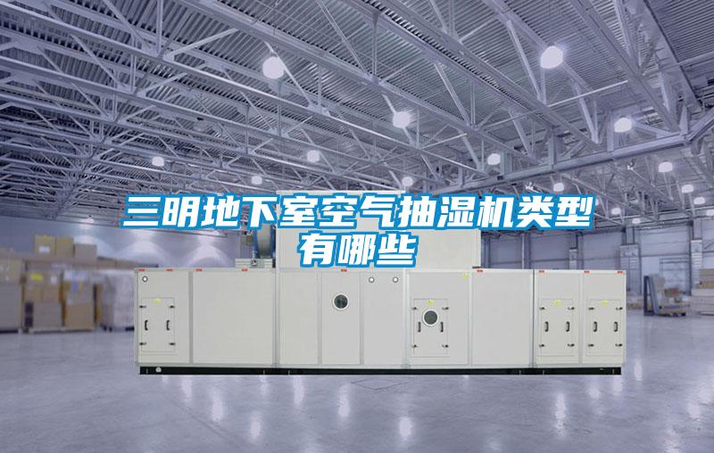 三明地下室空氣抽濕機(jī)類型有哪些