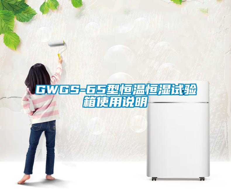 GWGS-65型恒溫恒濕試驗箱使用說明