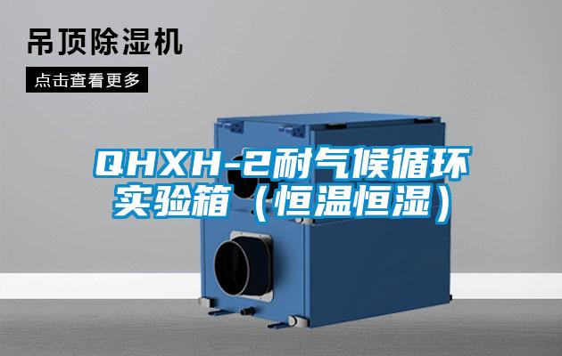QHXH-2耐氣候循環(huán)實驗箱（恒溫恒濕）