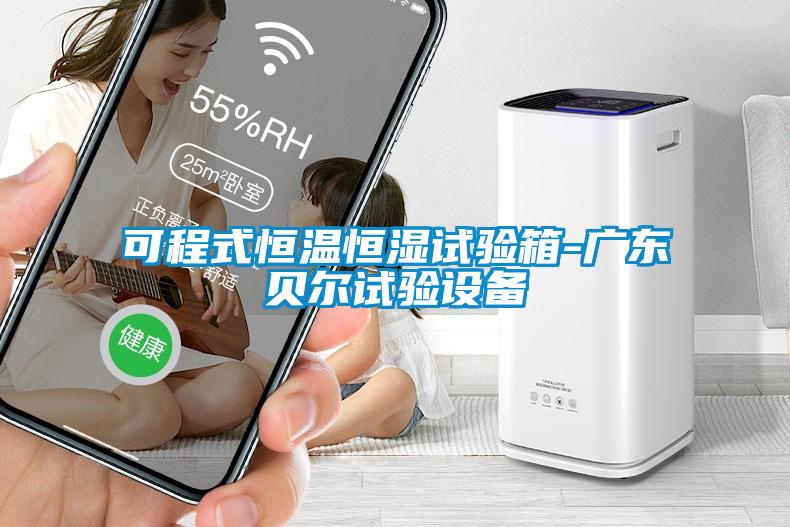 可程式恒溫恒濕試驗箱-廣東貝爾試驗設備