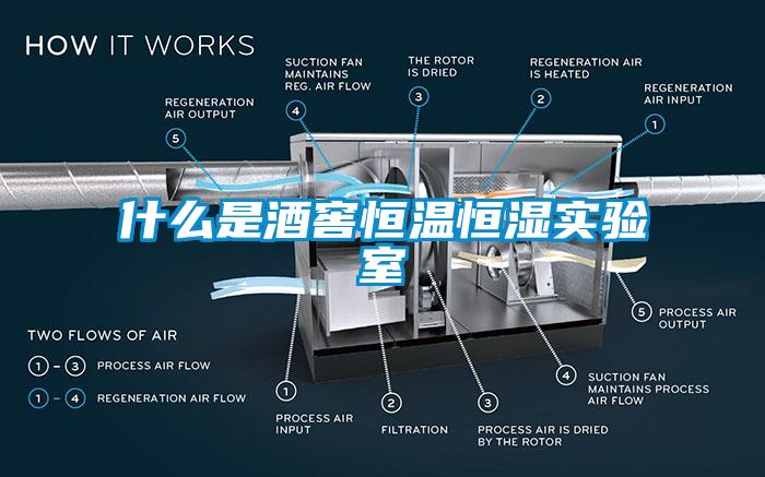 什么是酒窖恒溫恒濕實(shí)驗(yàn)室