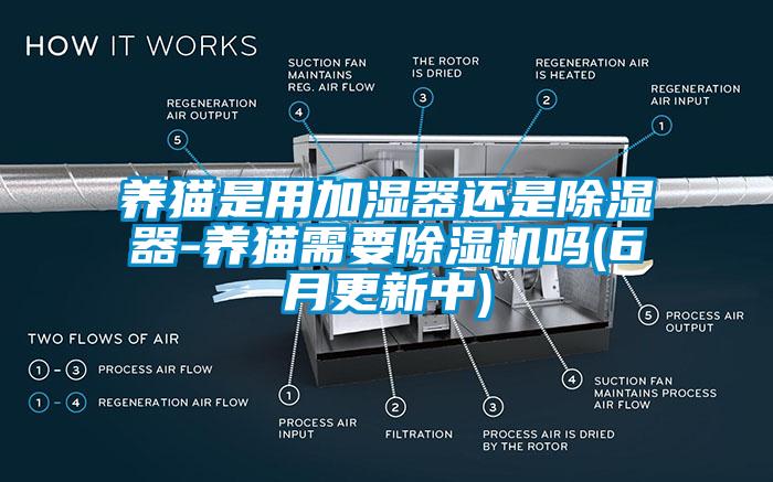 養(yǎng)貓是用加濕器還是除濕器-養(yǎng)貓需要除濕機嗎(6月更新中)