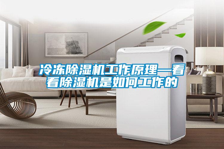 冷凍除濕機工作原理—看看除濕機是如何工作的