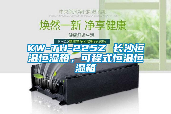 KW-TH-225Z 長沙恒溫恒濕箱，可程式恒溫恒濕箱