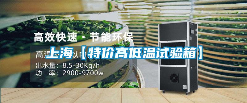 上海【特價(jià)高低溫試驗(yàn)箱】