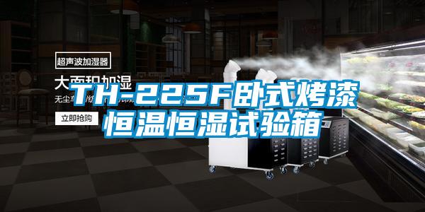 TH-225F臥式烤漆恒溫恒濕試驗(yàn)箱