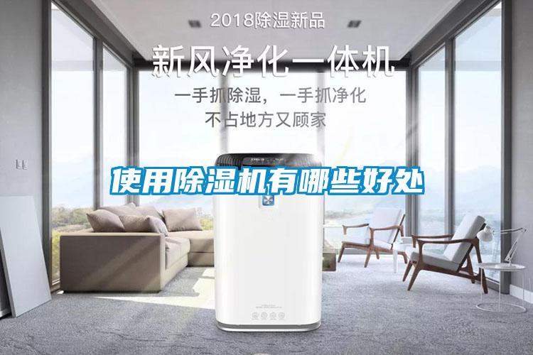 使用除濕機有哪些好處