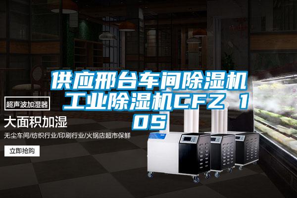 供應邢臺車間除濕機 工業除濕機CFZ 10S