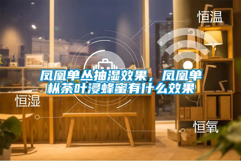 鳳凰單叢抽濕效果，鳳凰單樅荼葉浸蜂蜜有什么效果