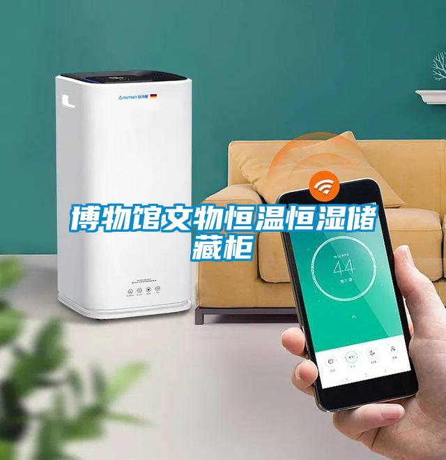 博物館文物恒溫恒濕儲藏柜