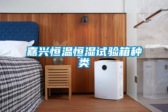 嘉興恒溫恒濕試驗箱種類