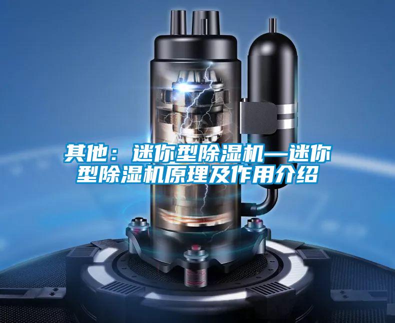 其他：迷你型除濕機—迷你型除濕機原理及作用介紹