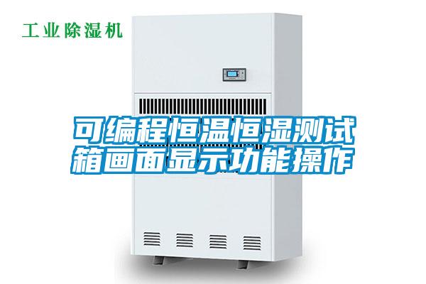 可編程恒溫恒濕測(cè)試箱畫面顯示功能操作
