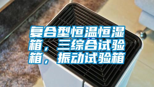 復合型恒溫恒濕箱，三綜合試驗箱，振動試驗箱