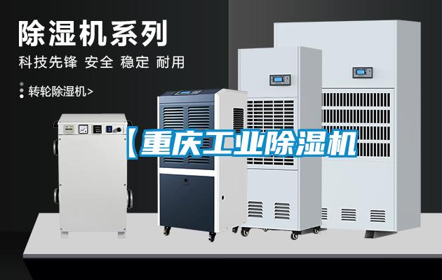 【重慶工業(yè)除濕機(jī)