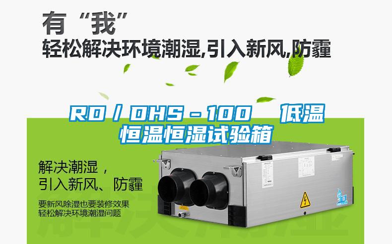 RD／DHS－100  低溫恒溫恒濕試驗箱