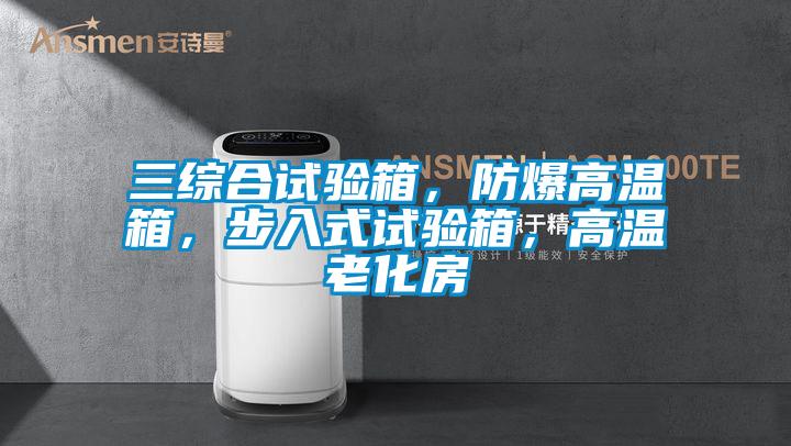三綜合試驗箱，防爆高溫箱，步入式試驗箱，高溫老化房