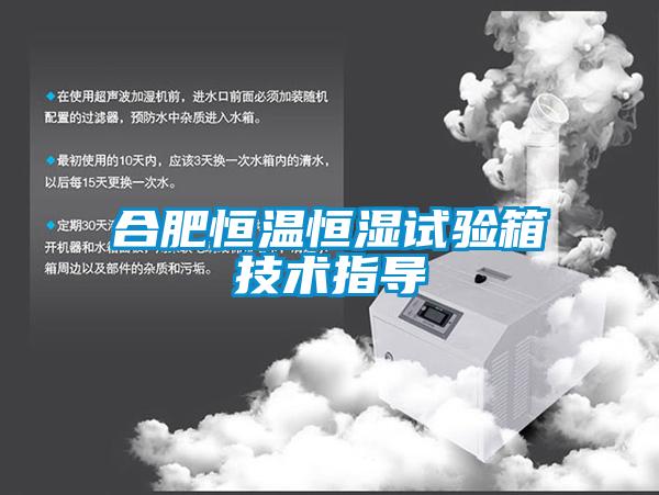 合肥恒溫恒濕試驗箱技術指導