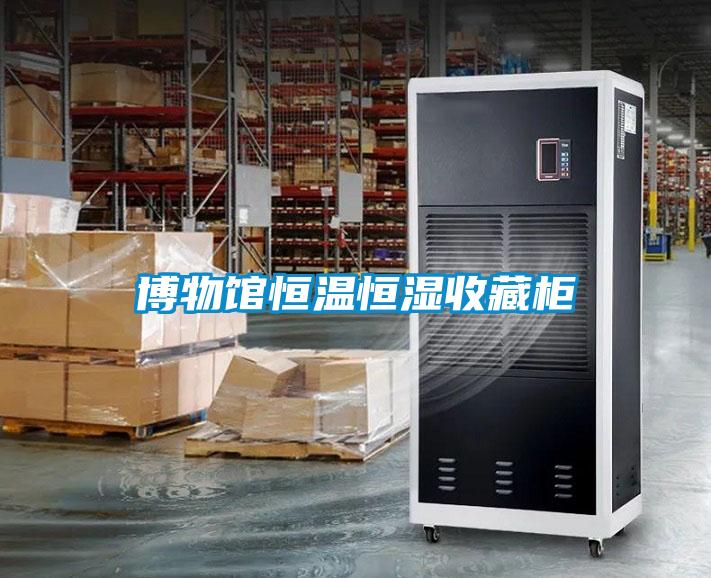 博物館恒溫恒濕收藏柜