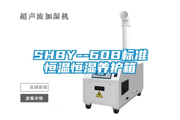 SHBY--60B標(biāo)準(zhǔn)恒溫恒濕養(yǎng)護(hù)箱