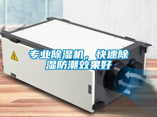 專業除濕機，快速除濕防潮效果好