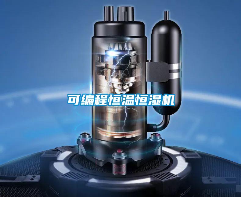 可編程恒溫恒濕機