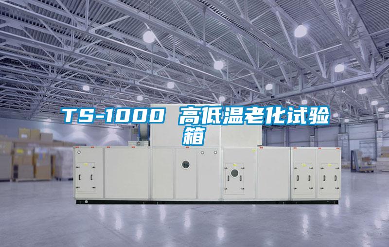 TS-1000 高低溫老化試驗(yàn)箱