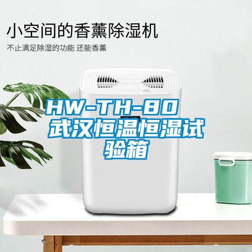 HW-TH-80  武漢恒溫恒濕試驗箱