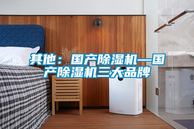 其他：國產除濕機—國產除濕機三大品牌