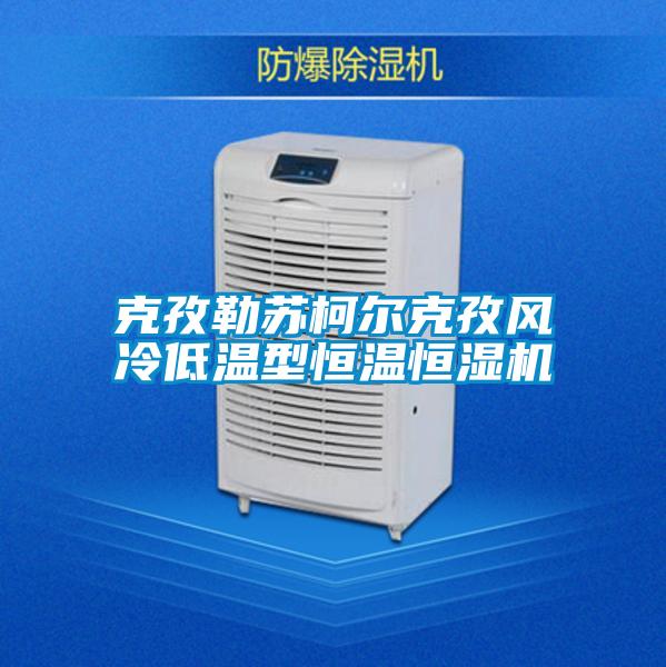 克孜勒蘇柯爾克孜風(fēng)冷低溫型恒溫恒濕機(jī)
