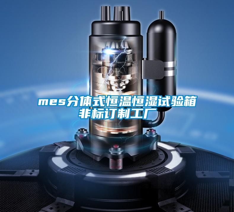 mes分體式恒溫恒濕試驗箱非標訂制工廠