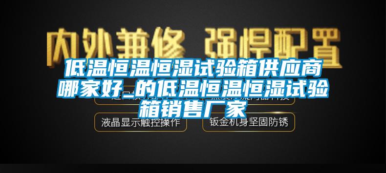 低溫恒溫恒濕試驗箱供應(yīng)商哪家好_的低溫恒溫恒濕試驗箱銷售廠家