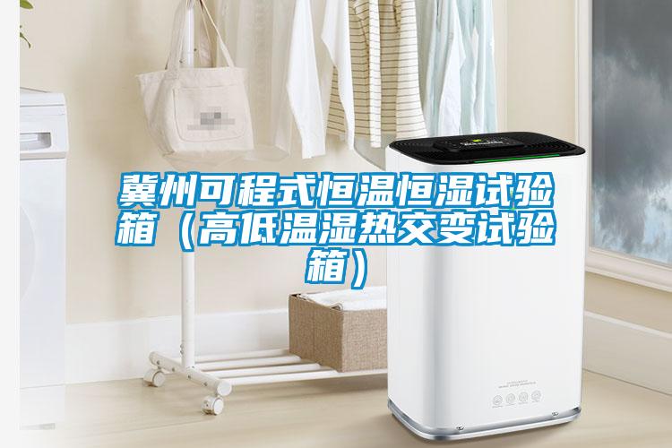 冀州可程式恒溫恒濕試驗箱（高低溫濕熱交變試驗箱）