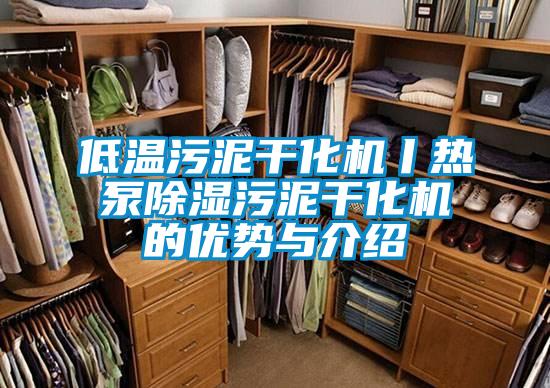低溫污泥干化機丨熱泵除濕污泥干化機的優勢與介紹