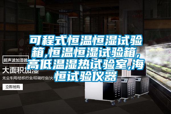 可程式恒溫恒濕試驗箱,恒溫恒濕試驗箱,高低溫濕熱試驗室,海恒試驗儀器