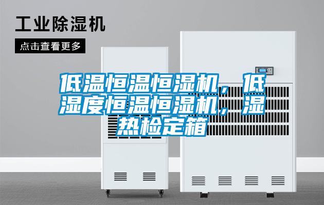 低溫恒溫恒濕機，低濕度恒溫恒濕機，濕熱檢定箱