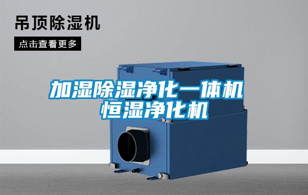 加濕除濕凈化一體機 恒濕凈化機