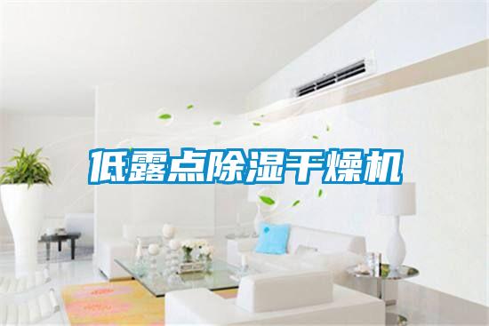 低露點除濕干燥機