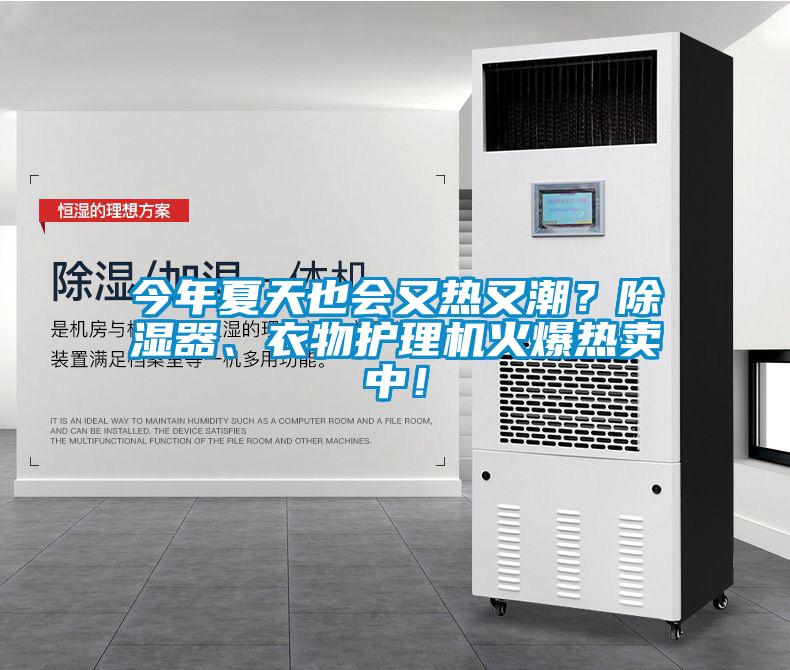 今年夏天也會又熱又潮？除濕器、衣物護理機火爆熱賣中！