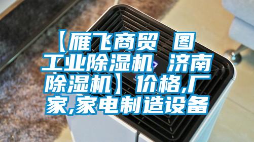 【雁飛商貿(mào) 圖  工業(yè)除濕機 濟南除濕機】價格,廠家,家電制造設(shè)備