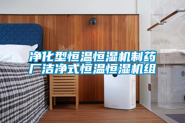 凈化型恒溫恒濕機制藥廠潔凈式恒溫恒濕機組