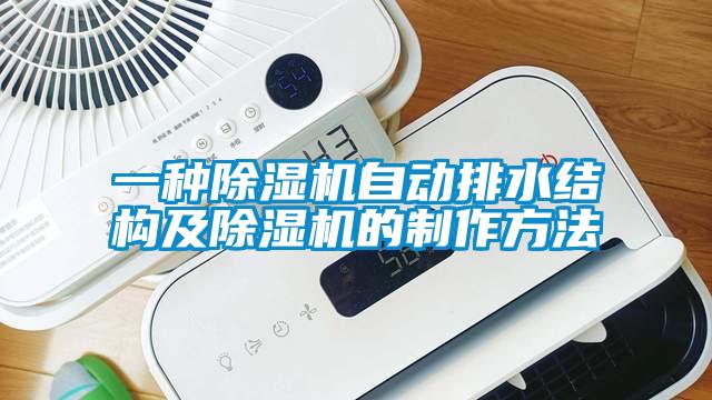 一種除濕機(jī)自動(dòng)排水結(jié)構(gòu)及除濕機(jī)的制作方法