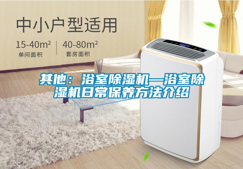 其他：浴室除濕機—浴室除濕機日常保養方法介紹