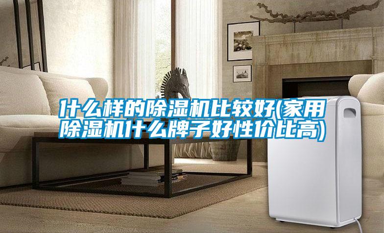 什么樣的除濕機比較好(家用除濕機什么牌子好性價比高)