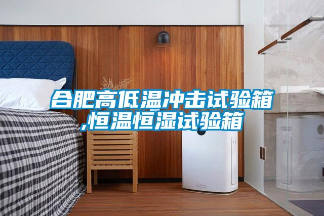合肥高低溫沖擊試驗箱,恒溫恒濕試驗箱