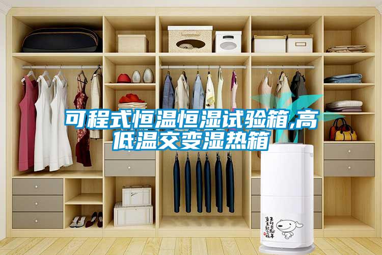 可程式恒溫恒濕試驗(yàn)箱,高低溫交變濕熱箱