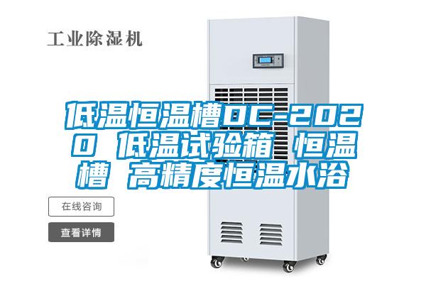 低溫恒溫槽DC-2020 低溫試驗(yàn)箱 恒溫槽 高精度恒溫水浴