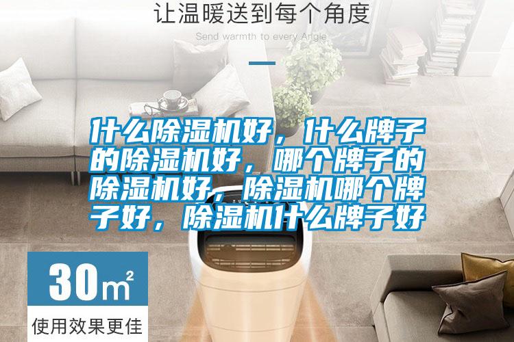 什么除濕機好，什么牌子的除濕機好，哪個牌子的除濕機好，除濕機哪個牌子好，除濕機什么牌子好