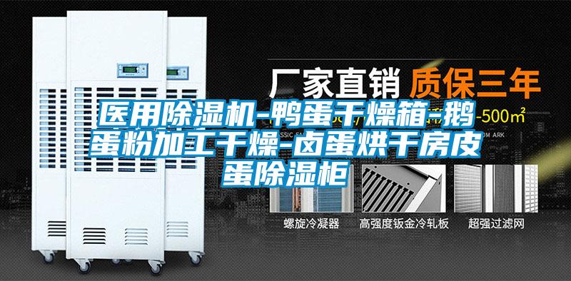 醫用除濕機-鴨蛋干燥箱-鵝蛋粉加工干燥-鹵蛋烘干房皮蛋除濕柜