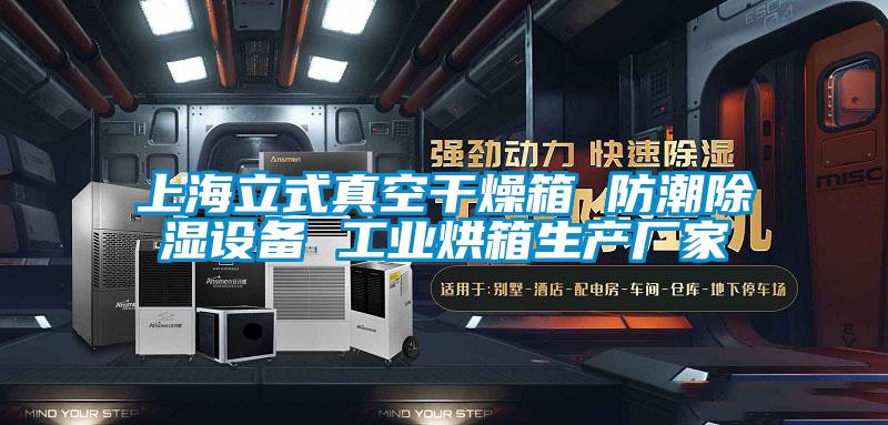 上海立式真空干燥箱 防潮除濕設備 工業(yè)烘箱生產廠家